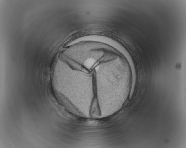 X0000112100413200909151204