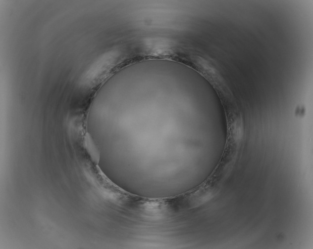 X0000112100415200909151204