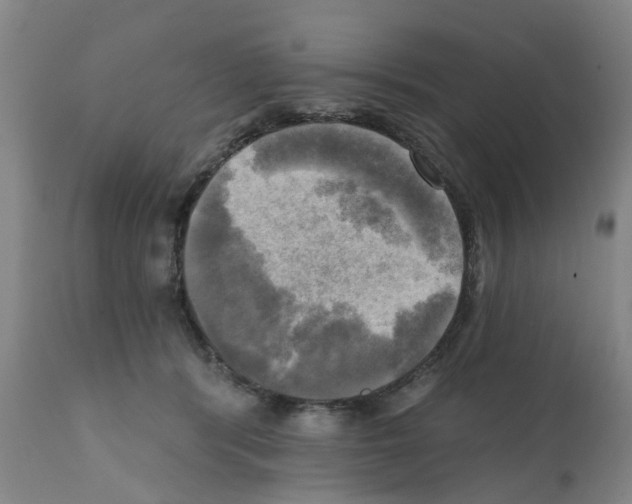 X0000112100416200909151204