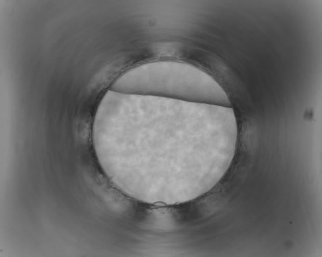 X0000112100417200909151204