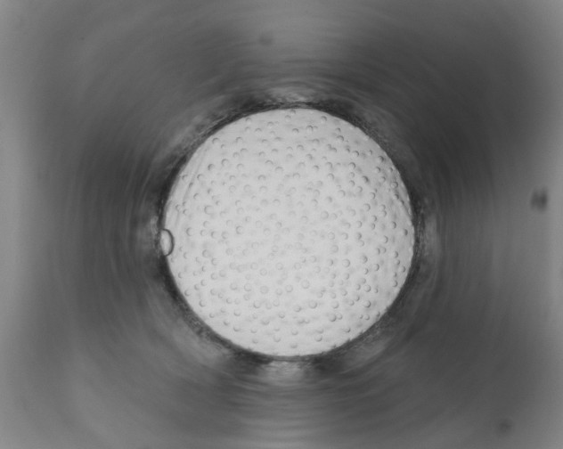 X0000112100418200909151204