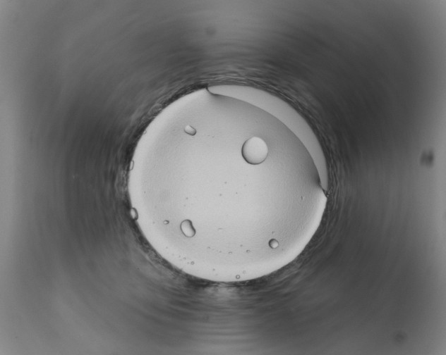 X0000112100419200909151204