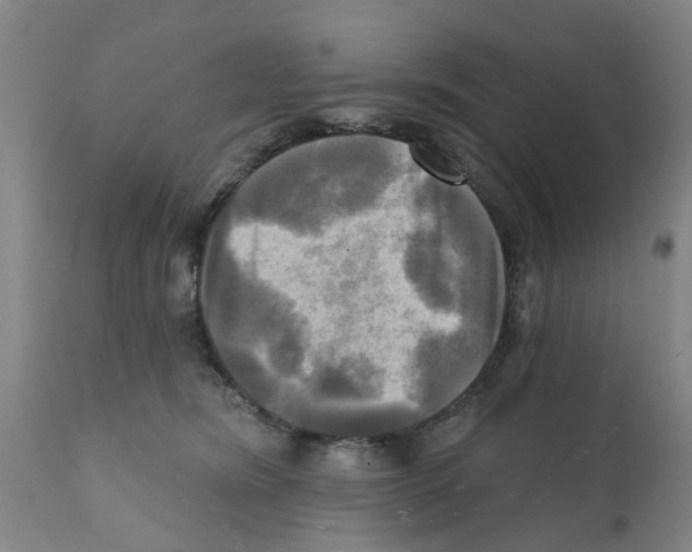 X0000112100420200909151204