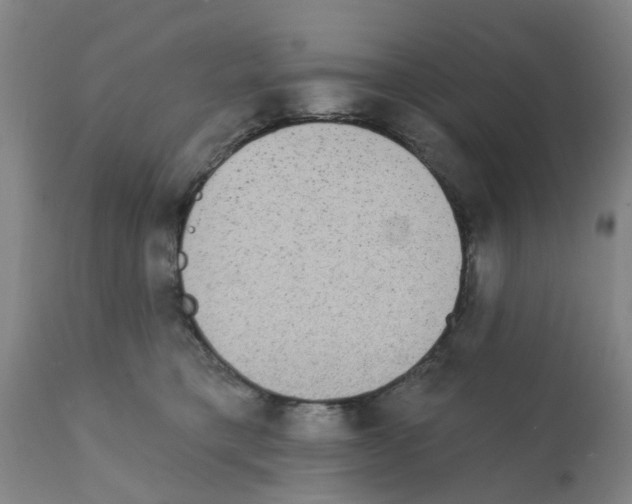 X0000112100421200909151204