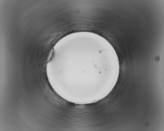X0000112100423200909151204
