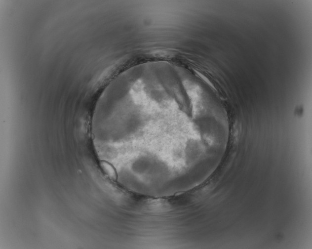 X0000112100424200909151204