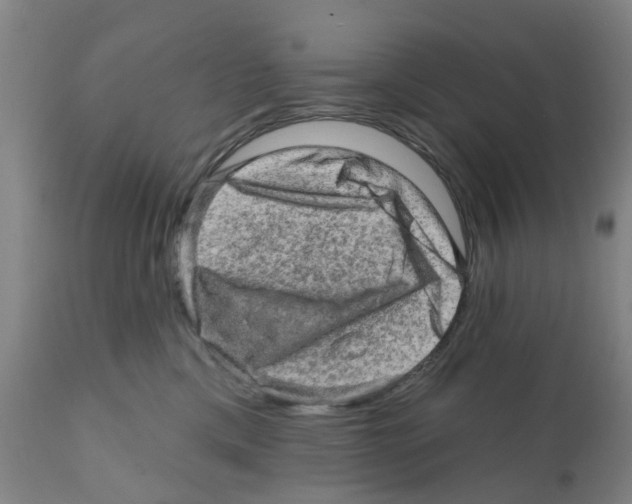 X0000112100425200909151204