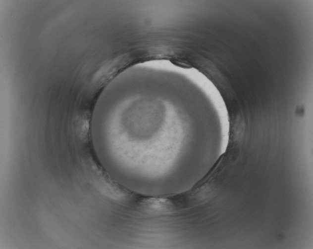 X0000112100427200909151204