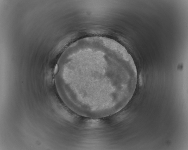X0000112100428200909151204