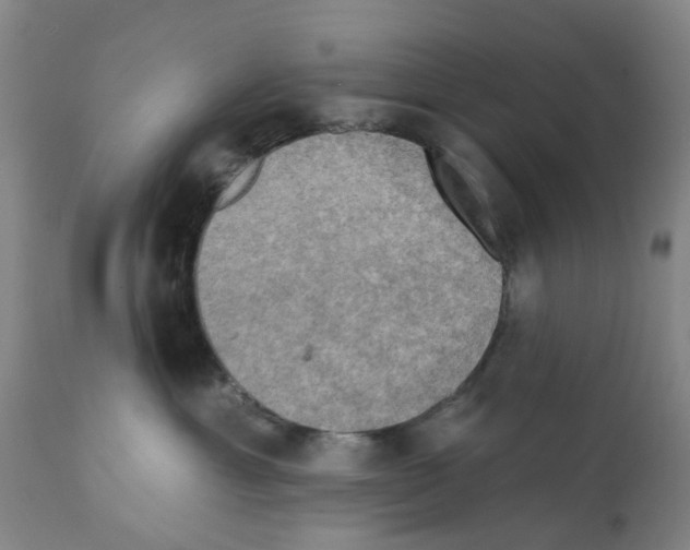 X0000112100429200909151204