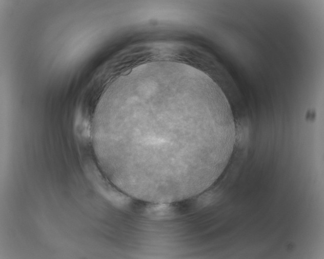 X0000112100431200909151204