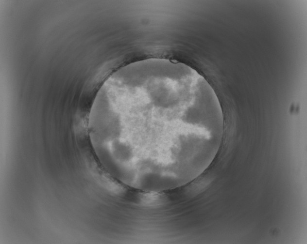 X0000112100432200909151204