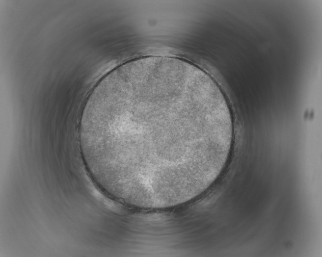 X0000112100433200909151203