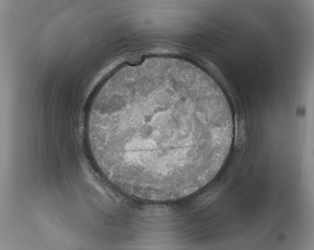 X0000112100435200909151203