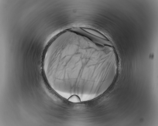 X0000112100438200909151203