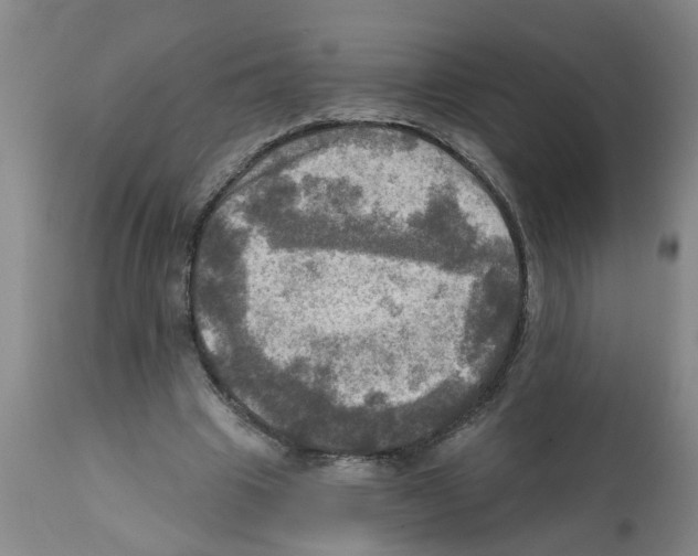 X0000112100441200909151203