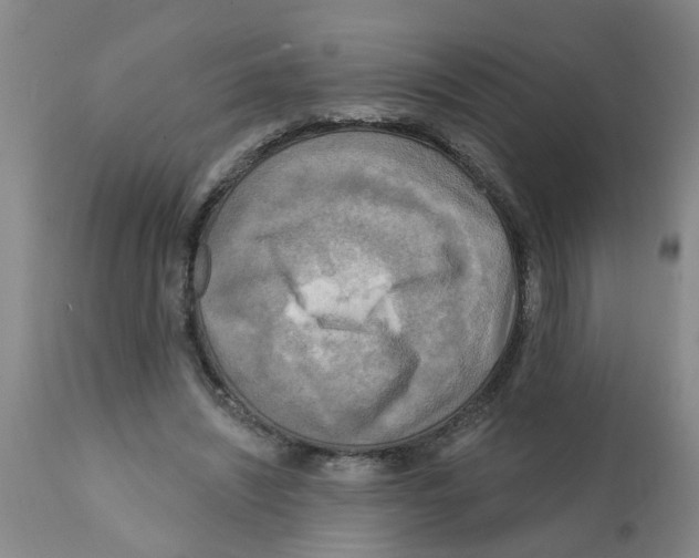 X0000112100444200909151203
