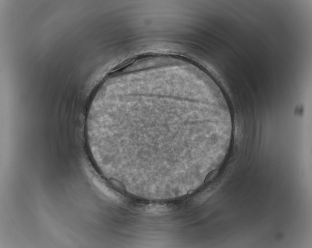 X0000112100445200909151203