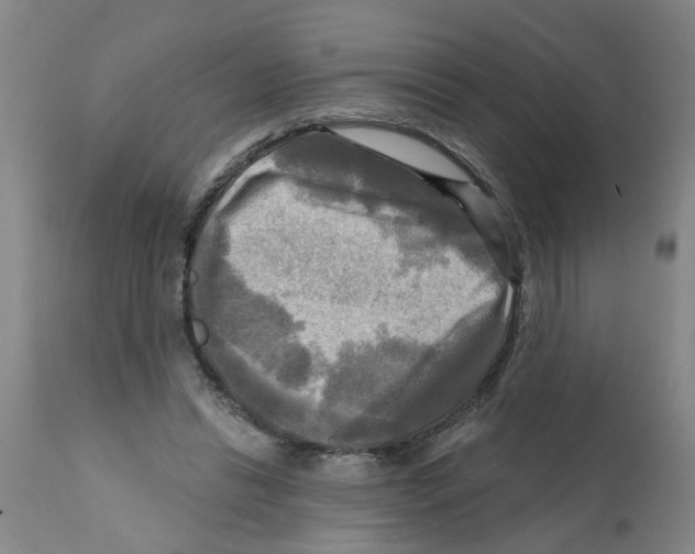 X0000112100446200909151203