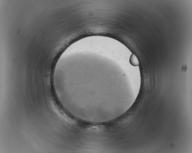 X0000112100447200909151203