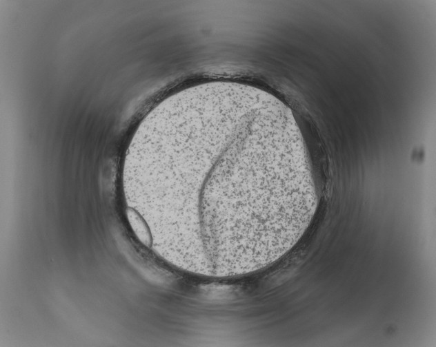 X0000112100448200909151204