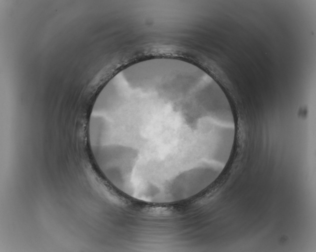 X0000112100449200909151204