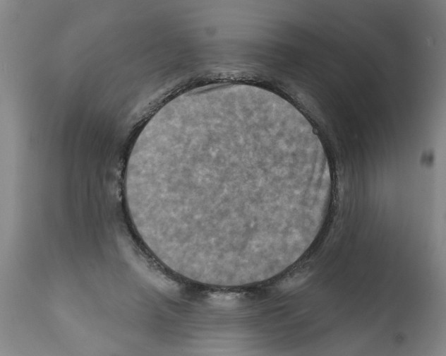 X0000112100450200909151204