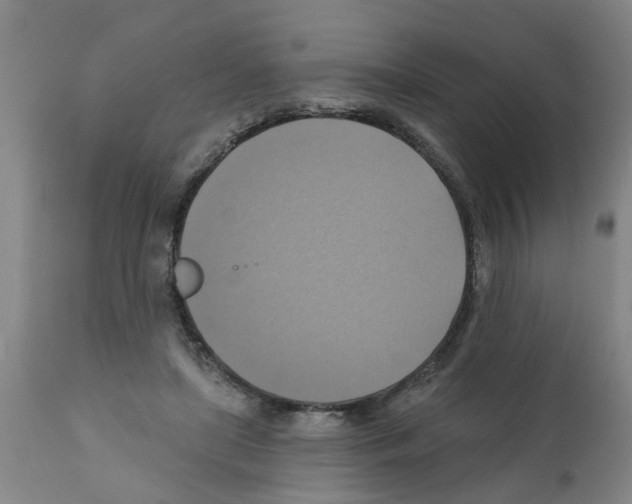 X0000112100451200909151204