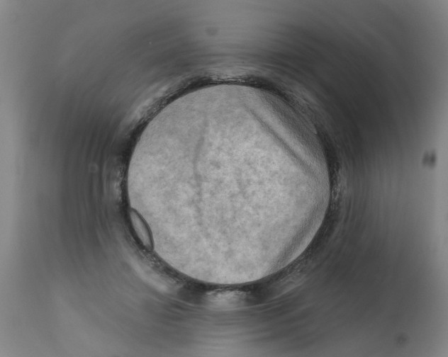 X0000112100452200909151204