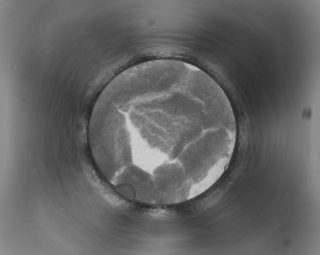 X0000112100453200909151204