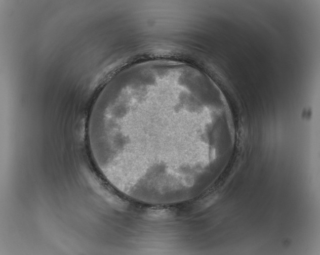 X0000112100454200909151204