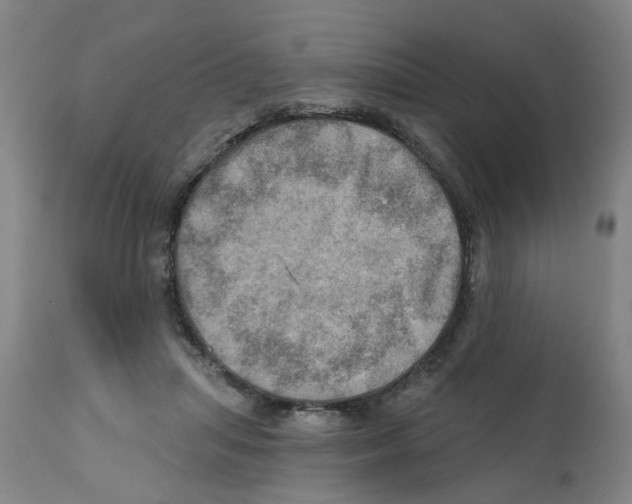 X0000112100455200909151204