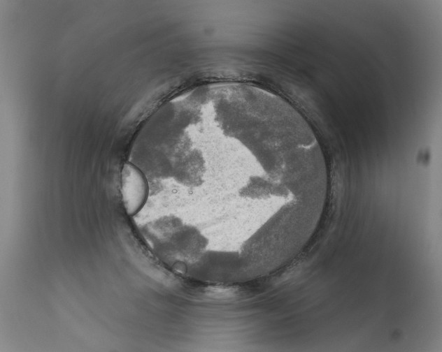 X0000112100457200909151204