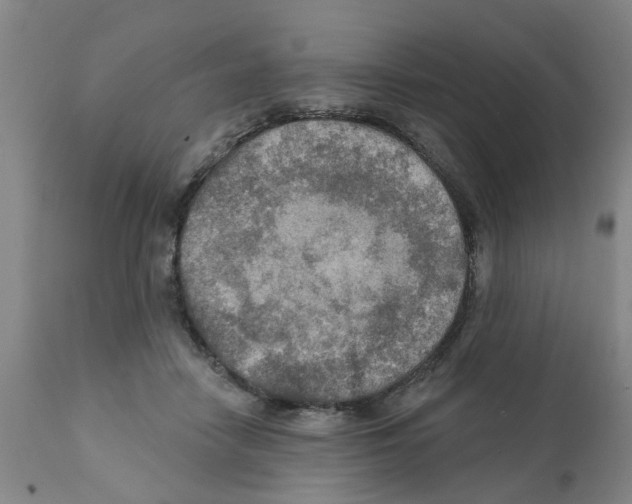 X0000112100458200909151204