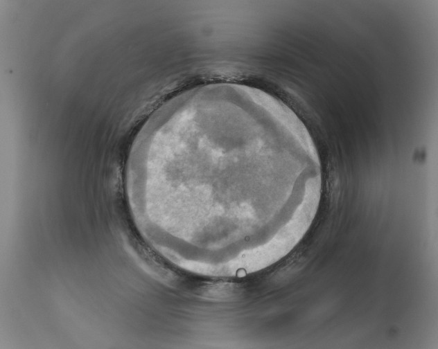X0000112100459200909151204
