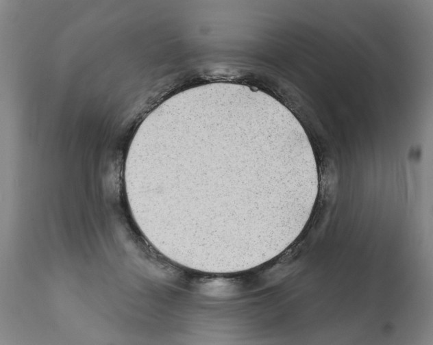 X0000112100460200909151204