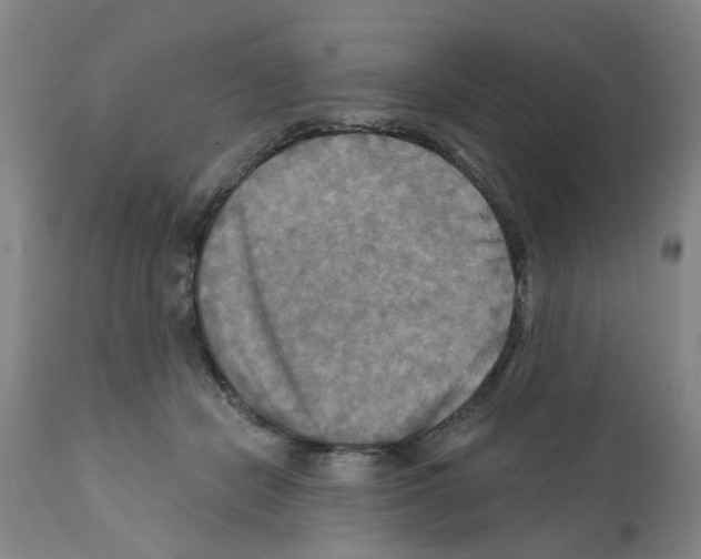 X0000112100462200909151204