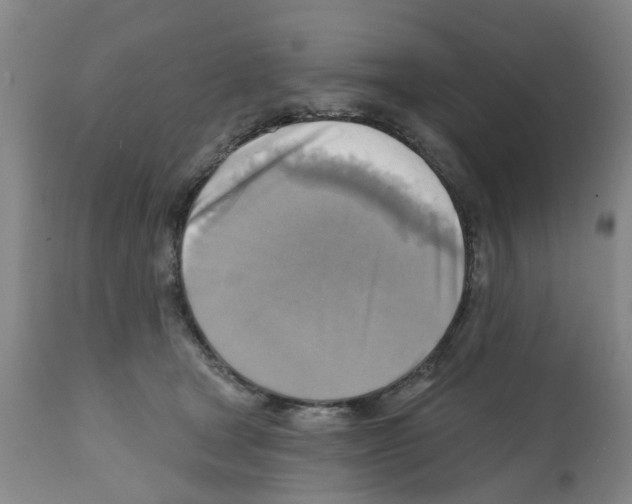 X0000112100465200909151204