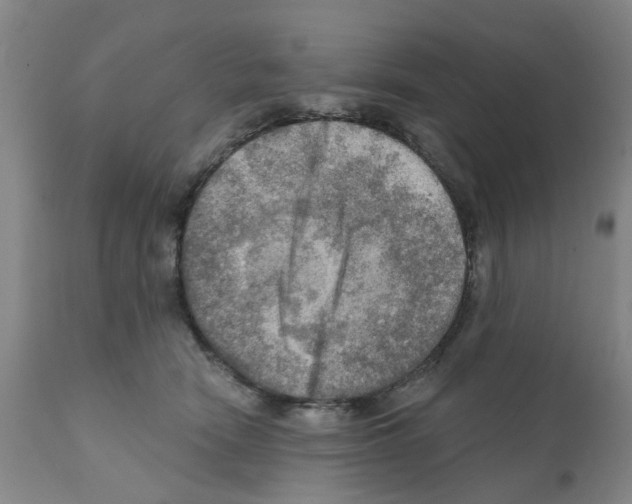 X0000112100466200909151204