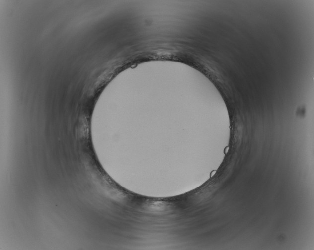 X0000112100467200909151204