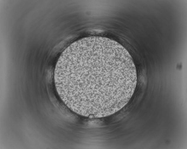X0000112100468200909151204