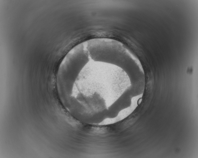 X0000112100469200909151204