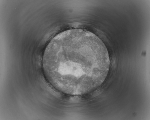 X0000112100470200909151204