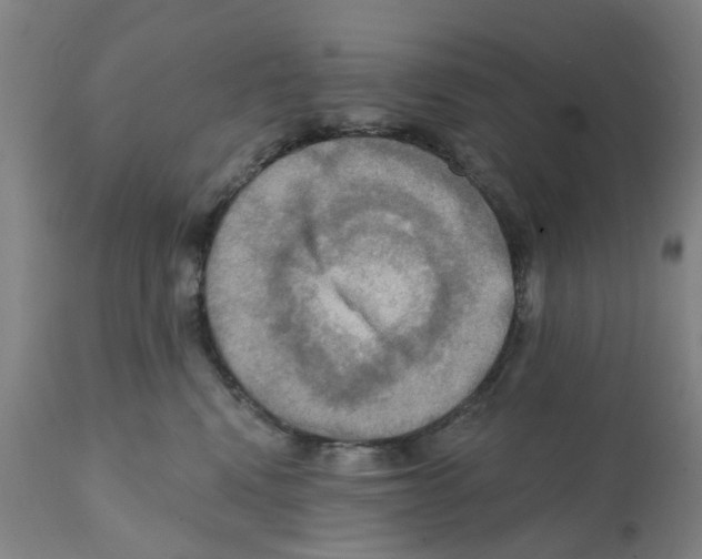 X0000112100472200909151204