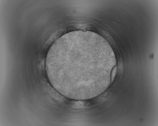 X0000112100473200909151204
