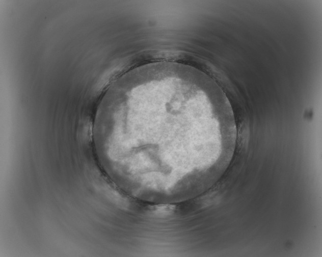 X0000112100474200909151204