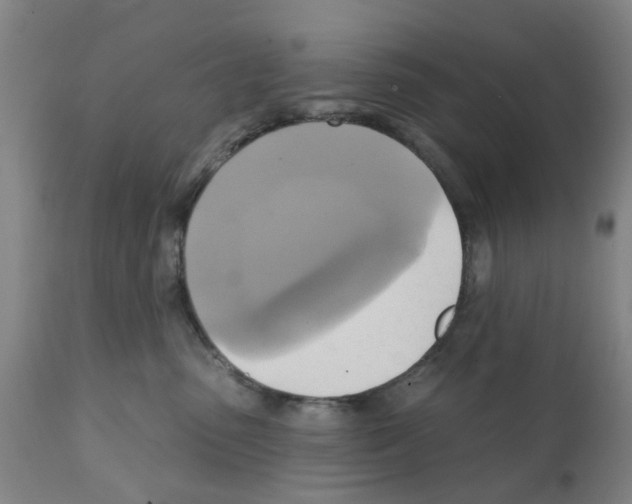 X0000112100475200909151204