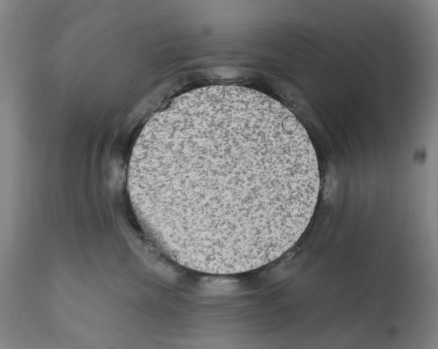 X0000112100476200909151204