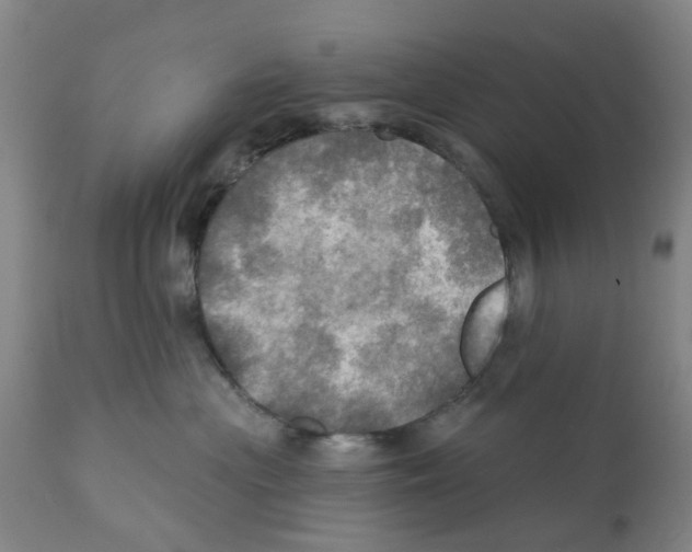 X0000112100477200909151204
