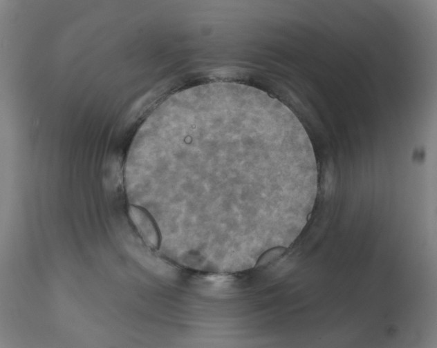 X0000112100478200909151204